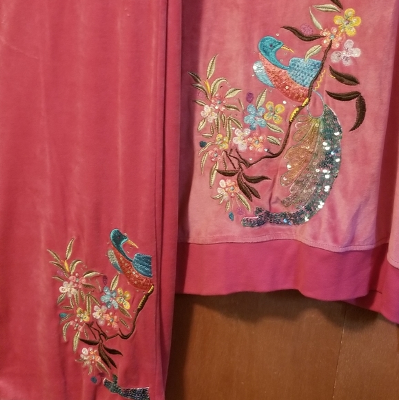 Pants - BCBG Maxazria velour 2 piece set